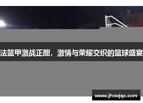法篮甲激战正酣，激情与荣耀交织的篮球盛宴
